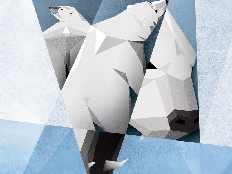 POLAR 2