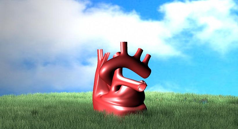 3D -1