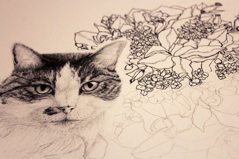 Flora 5