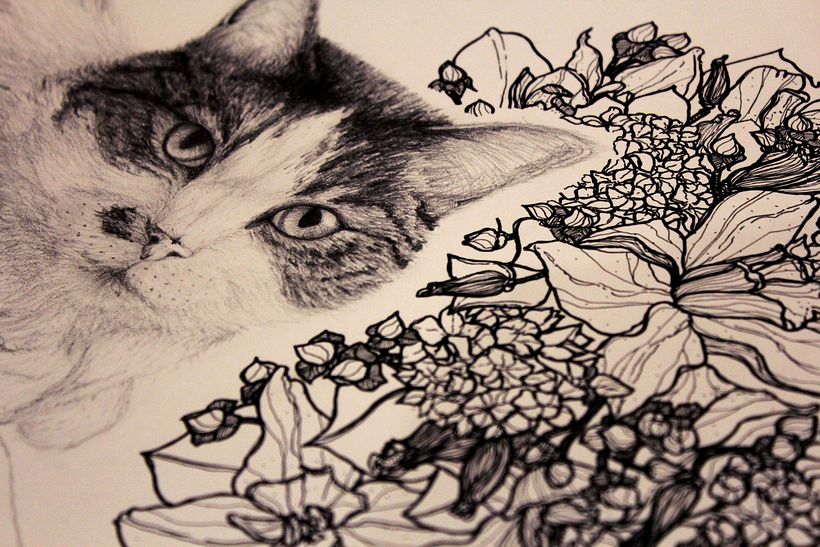Flora 8