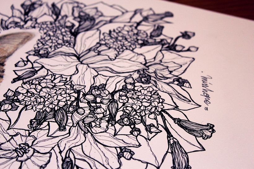 Flora 17
