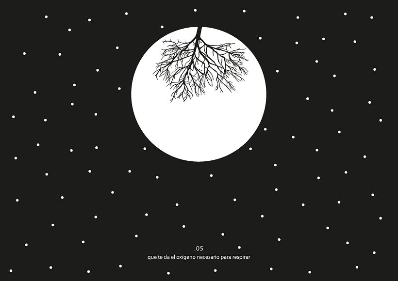 Perdida - Gráfica experimental 14