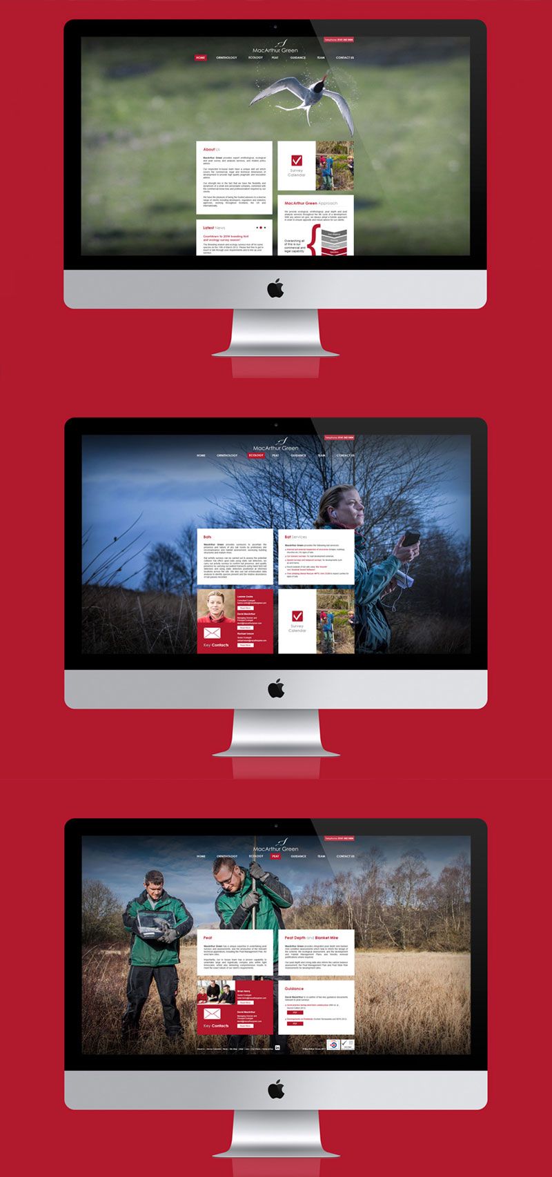 Mac Arthur Green - Diseño Web