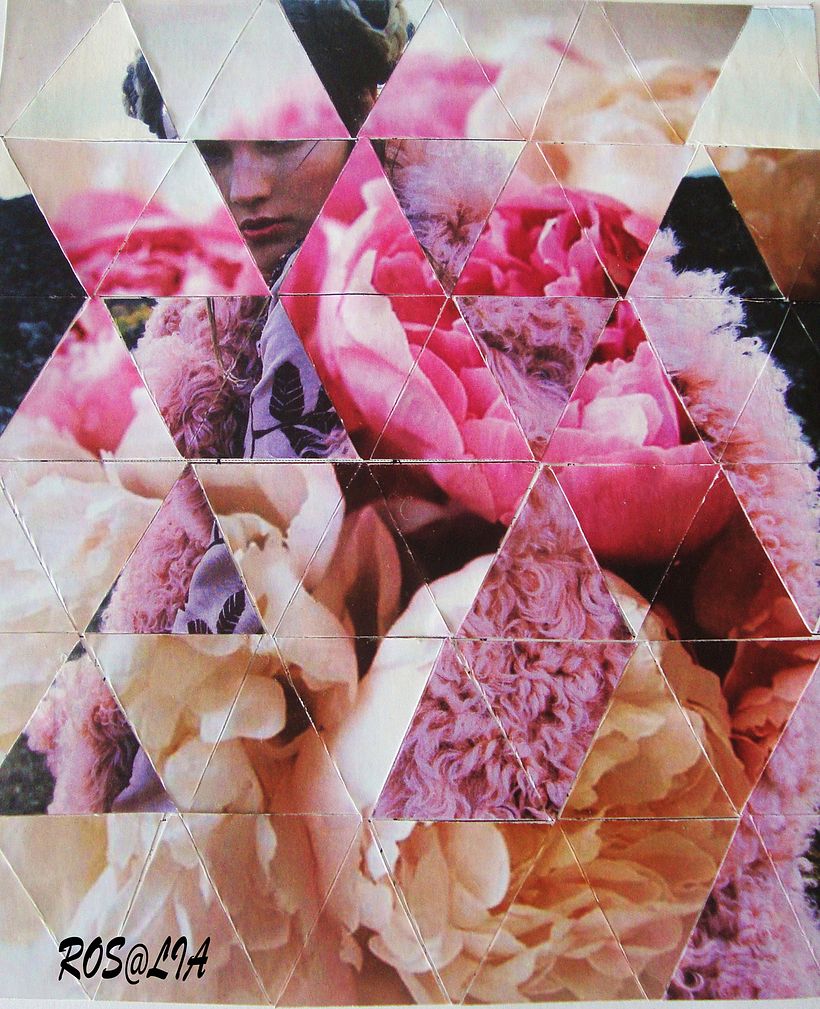 PRACTICANDO: COLLAGE GEOMETRICO / SIN CORTE -1