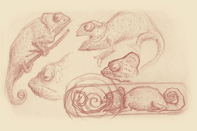 Diseño de tablas de skate - Illustration traditionnelle