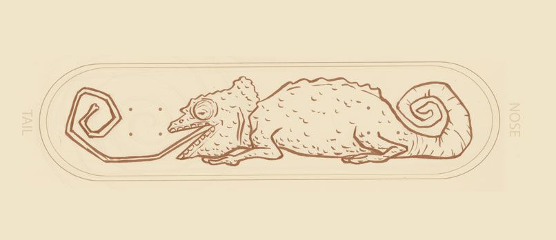 Diseño de tablas de skate - Illustration traditionnelle