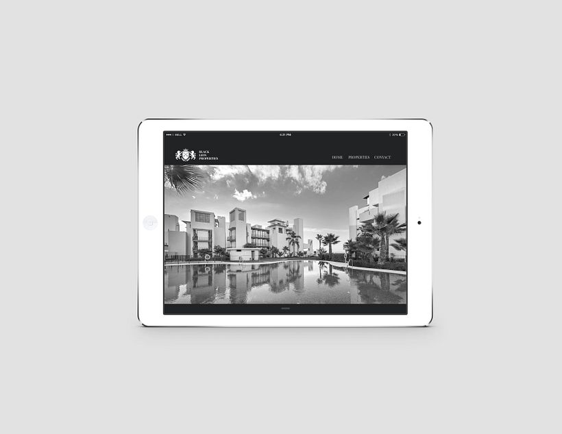 Black Lion Properties 5