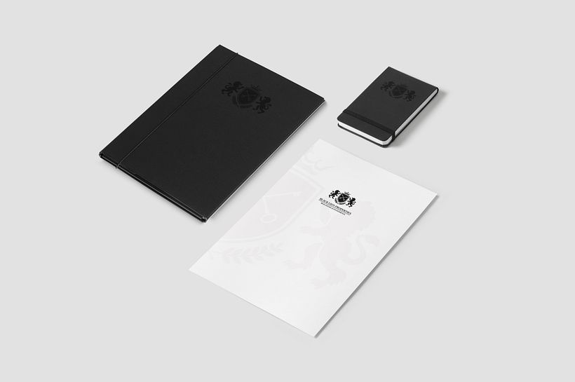 Black Lion Properties 7