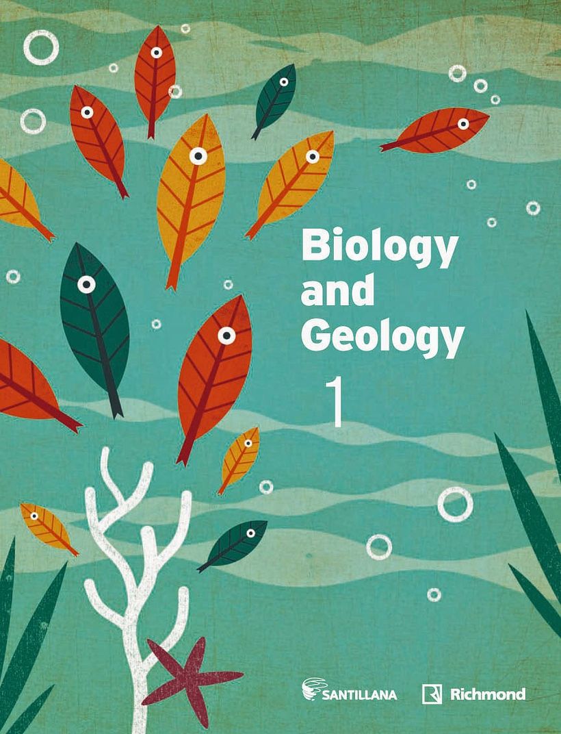 Cubiertas para libros de texto 0