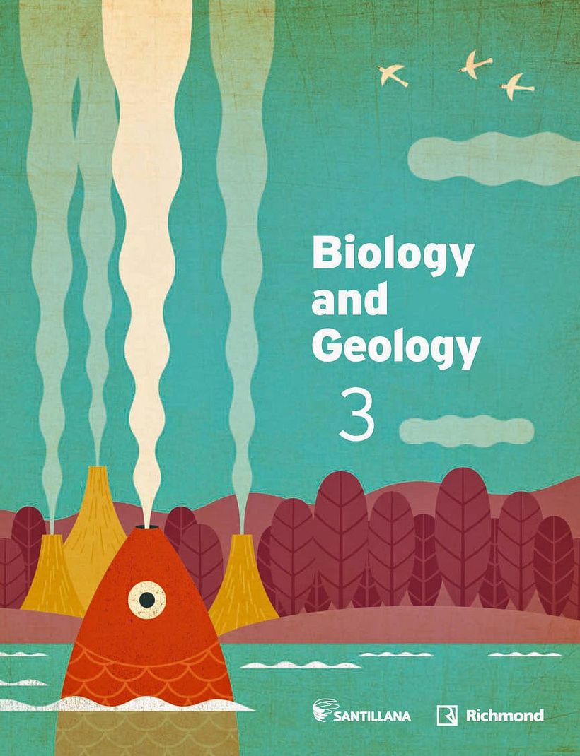 Cubiertas para libros de texto 1