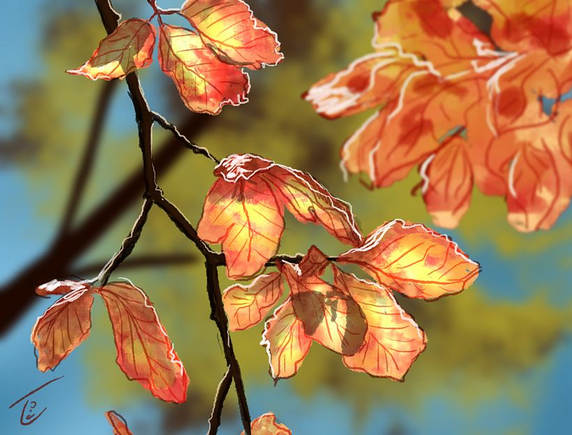 Autumn Leaves study -1