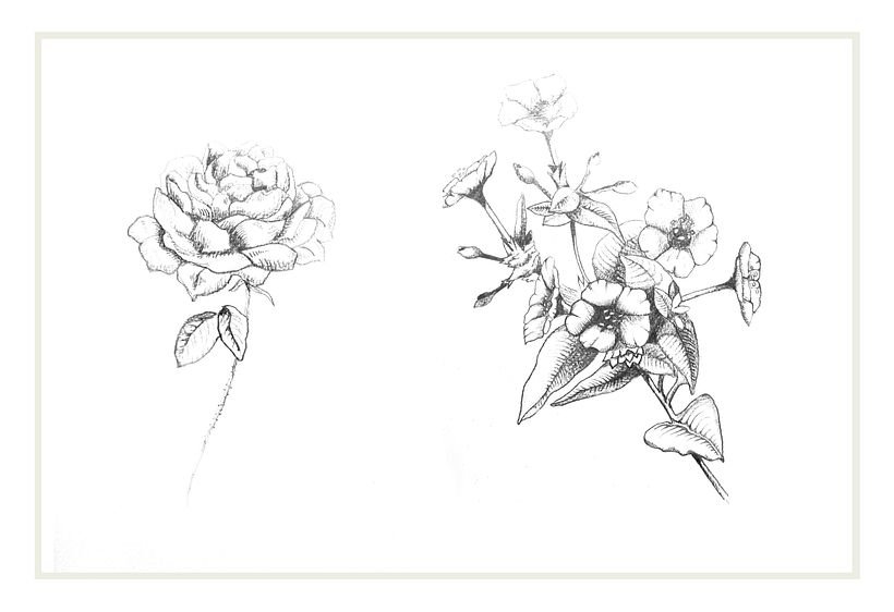 Flores 1