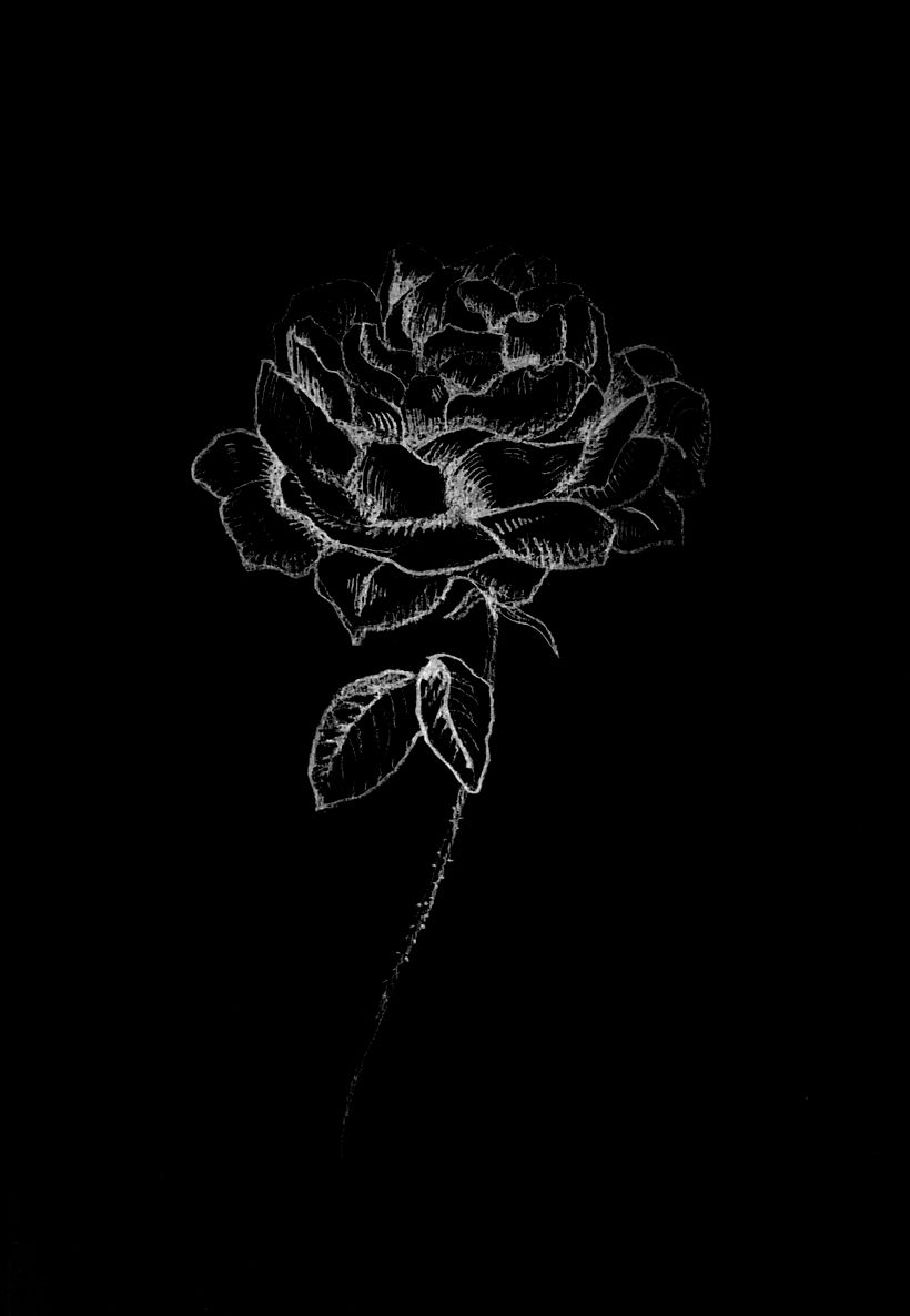 Flores 2