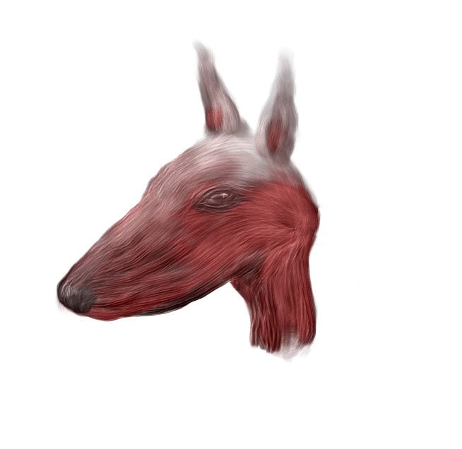 Sketches 9