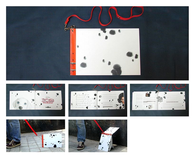 Buenavista Int. Pressbooks 8