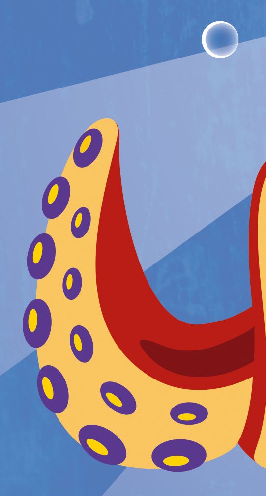 Ilustración Vectorial 8