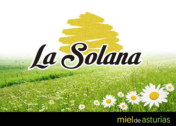 Packaging  e identidad corporativa Miel la Solana. 0
