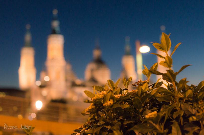 La noche no entiende de rutina 0