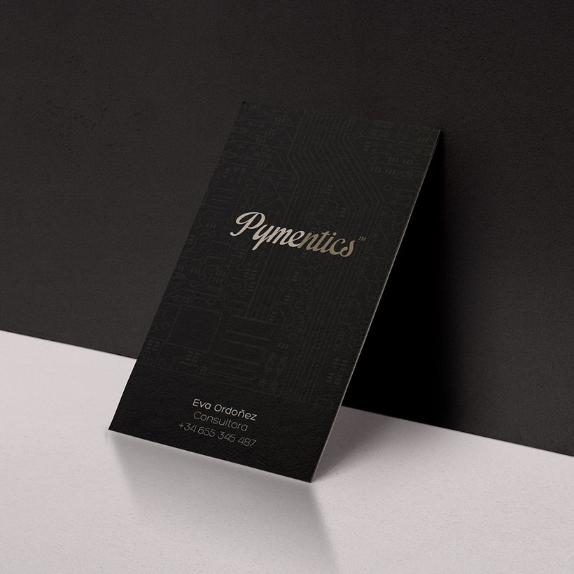 Pymentics / Naming & Lopotipo 1