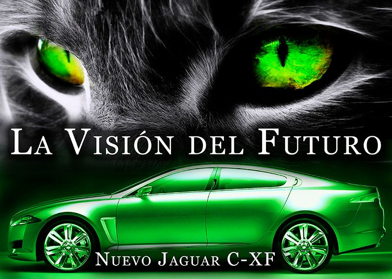 Carteleria de coche Jaguar 7