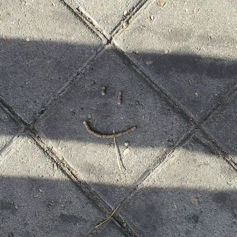 Pareidolia 1