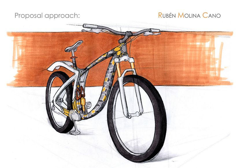 MTB RAID Bicycle Frame 2