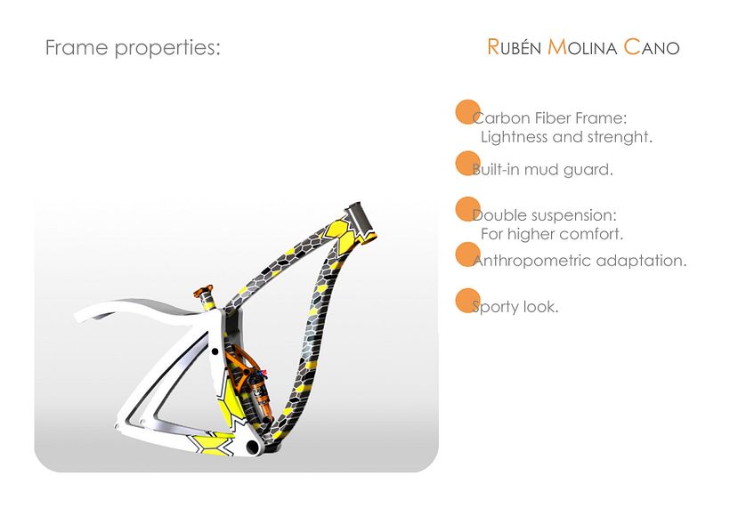 MTB RAID Bicycle Frame 3