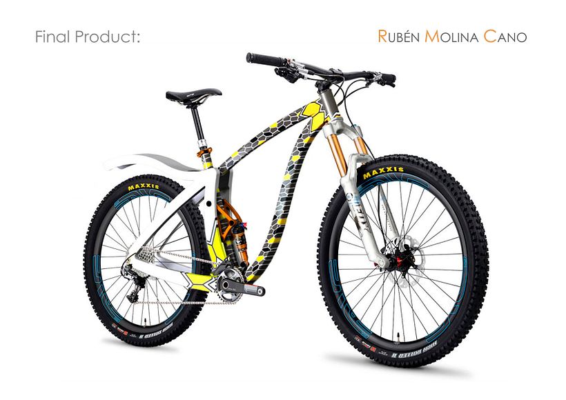 MTB RAID Bicycle Frame 5