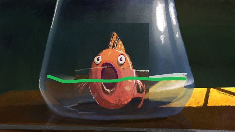 Water path for a fish- TOMAVISTAS STUDIO 9
