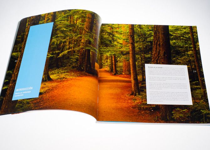 Memoria Anual // Editorial -1