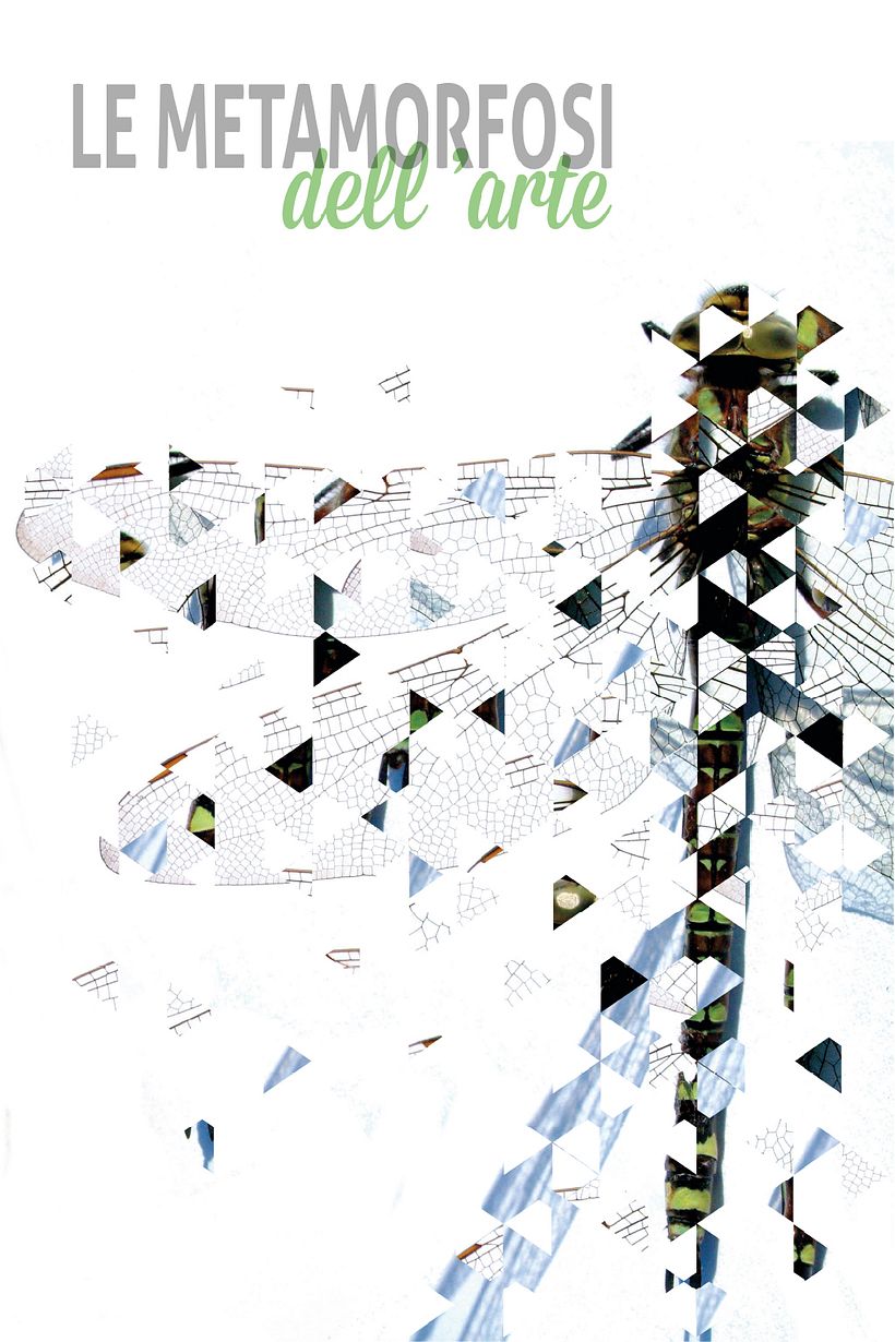 Le Metamorfosi dell' Arte 2