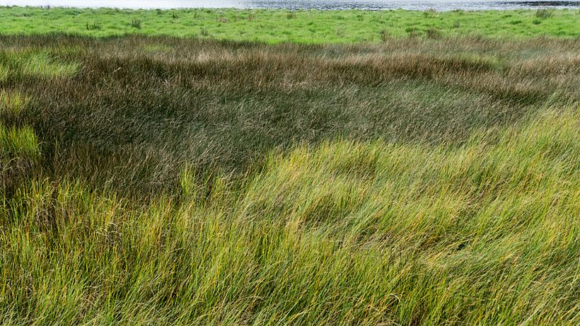 limites e identidades 4