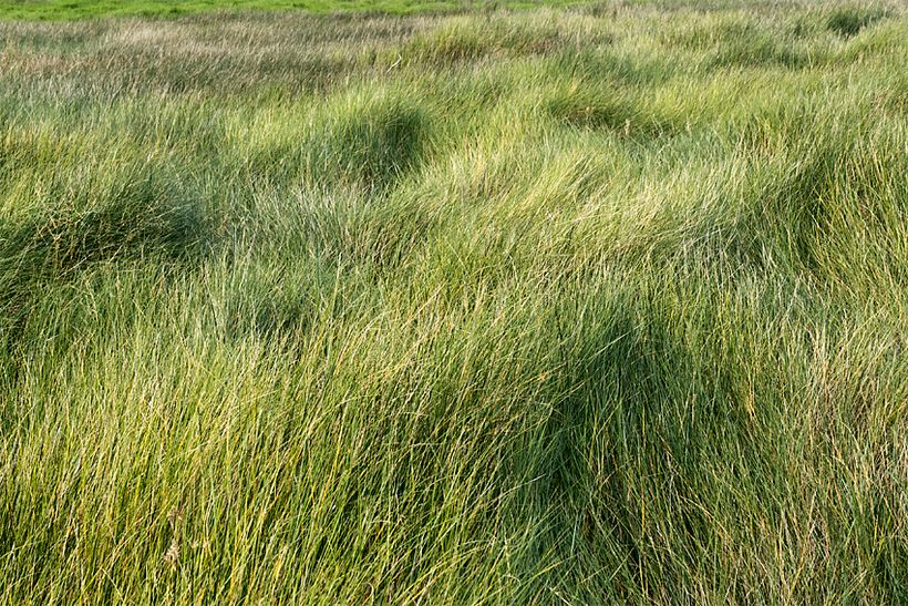 limites e identidades 10