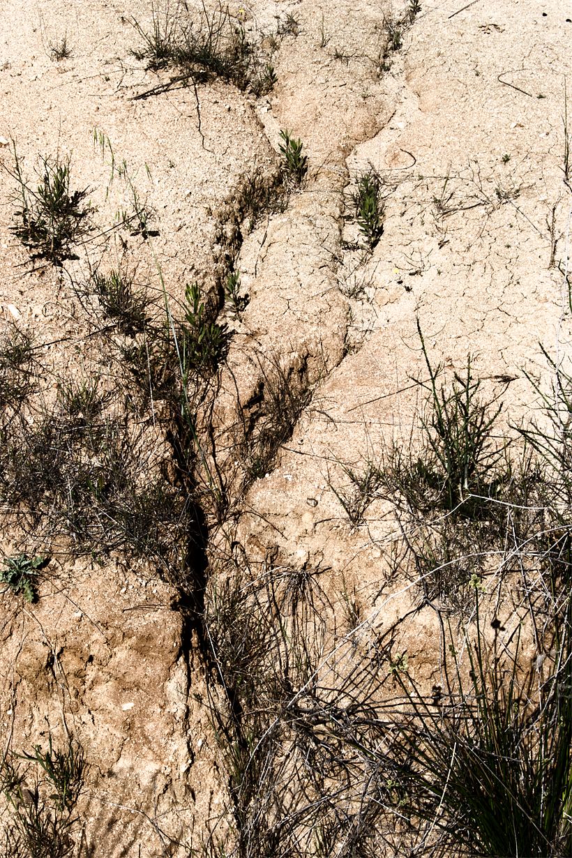 limites e identidades 12