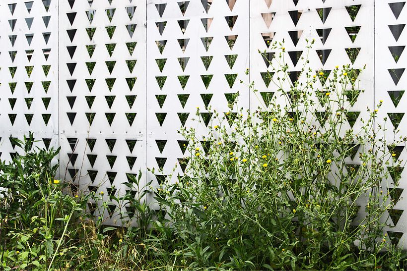 limites e identidades 16