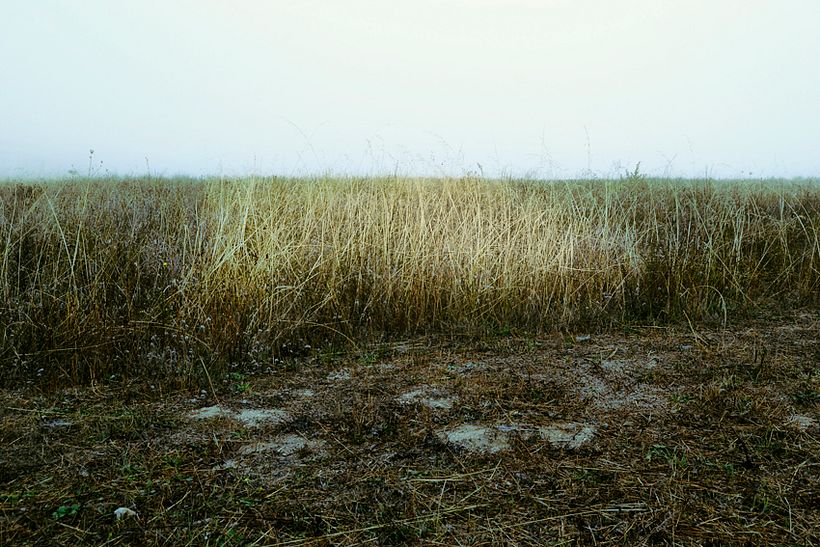 limites e identidades 17