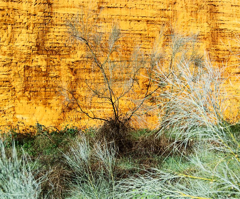 limites e identidades 18