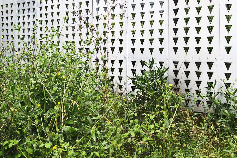 limites e identidades 21