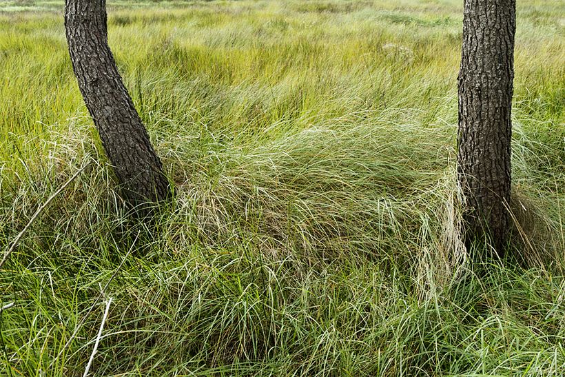 limites e identidades 23