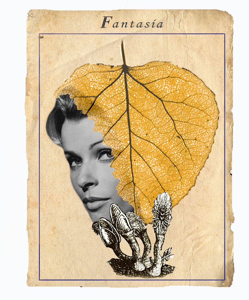 Ilustración, portada editorial 0