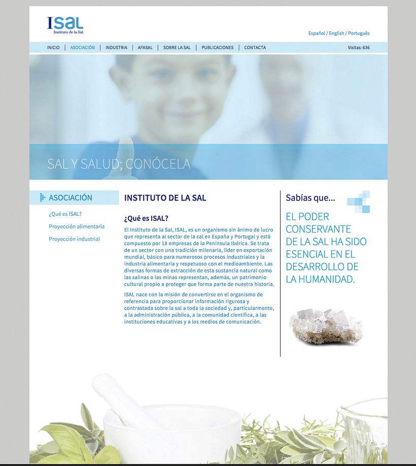 Instituto de la Sal ISAL · Diseño y desarrollo web 0