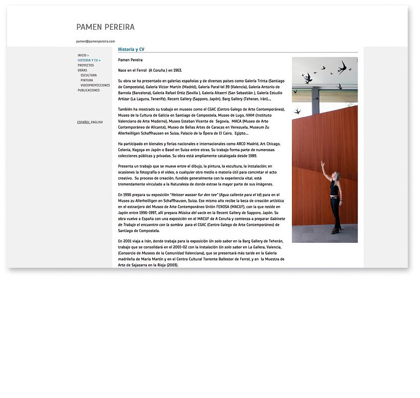 Pamen Pereira, artista plástica 0