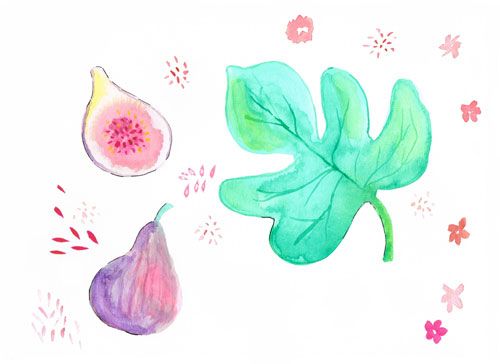 Dulce higuera de "Formentera soaps" 5