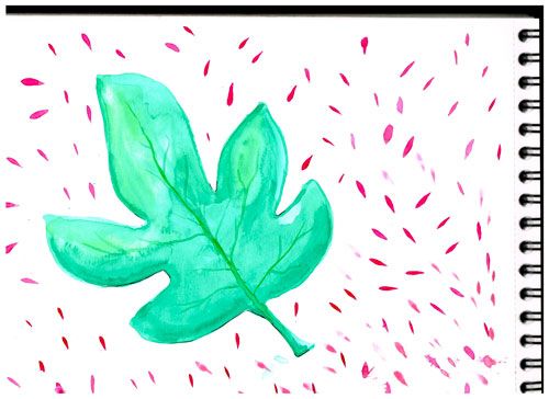 Dulce higuera de "Formentera soaps" 4