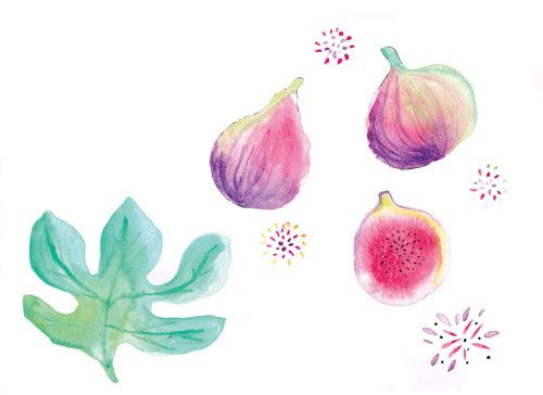 Dulce higuera de "Formentera soaps" 3