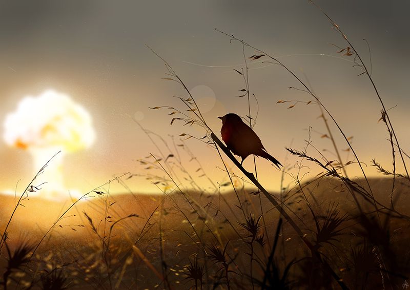 Atardecer nuclear 13