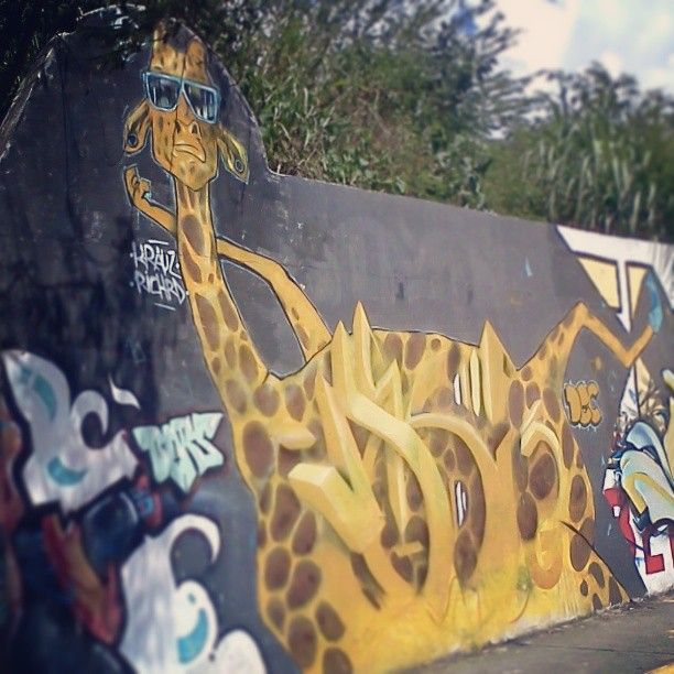 Murales 8