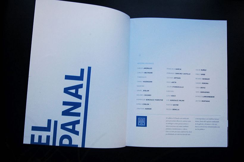 Afuera - Libro sobre muestra de arte contemporáneo 4