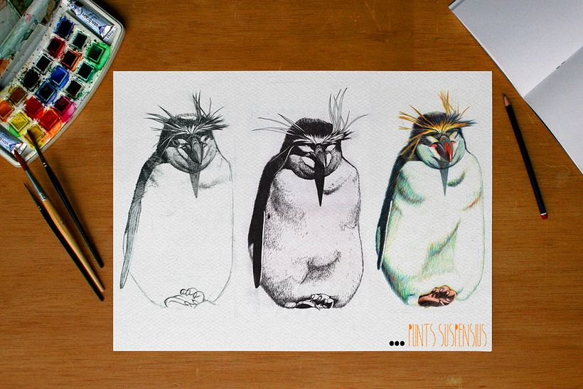 Ilustraciones -1