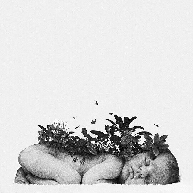 Leftovers 1